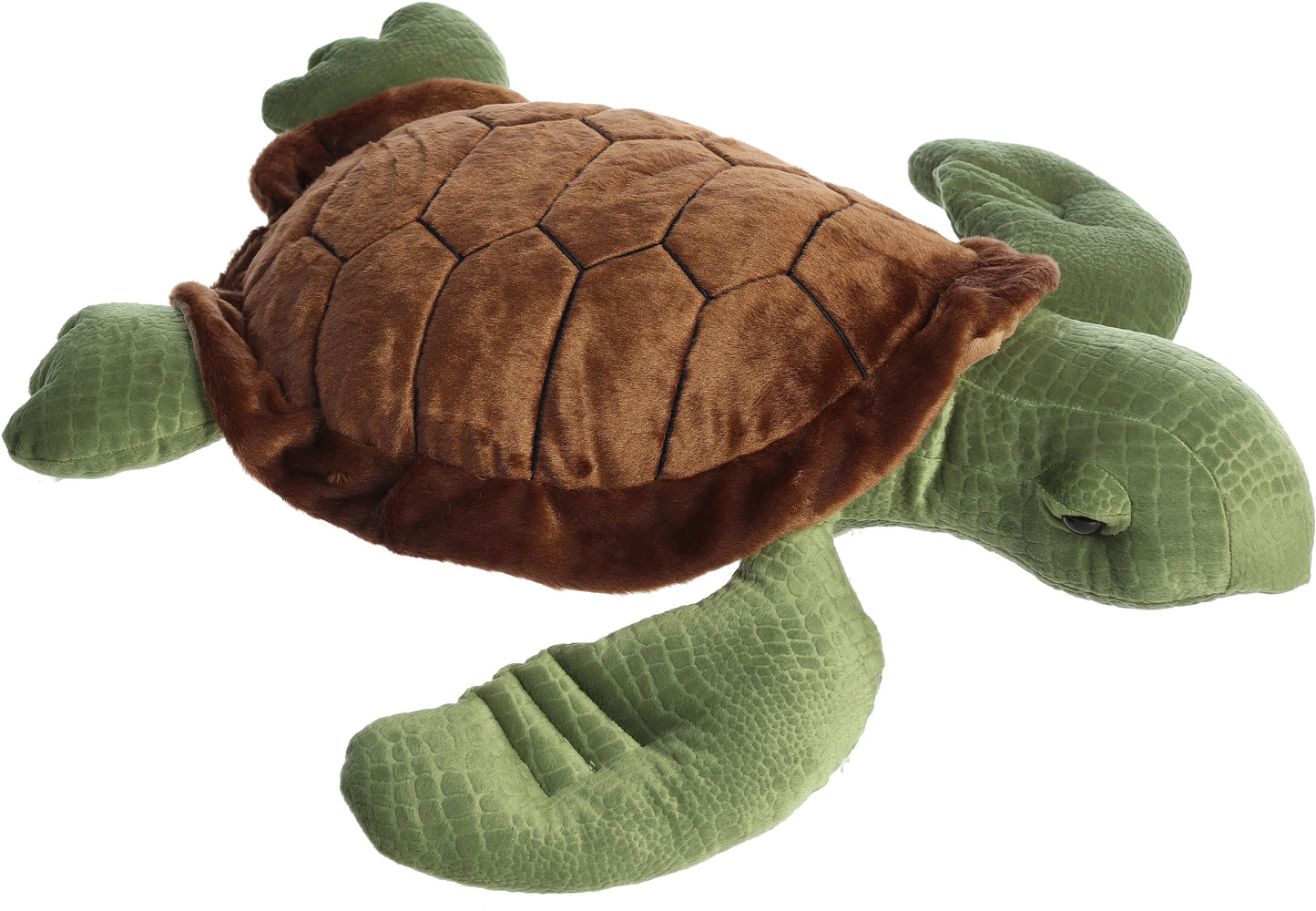 Oversized Sea Turtle