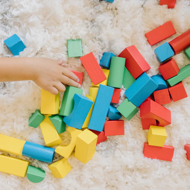 100 Piece Classic Wood Block Set