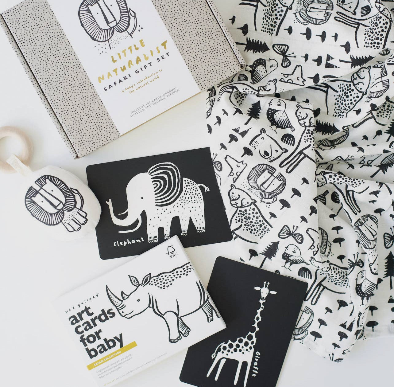 Little Naturalist Gift Set- Safari