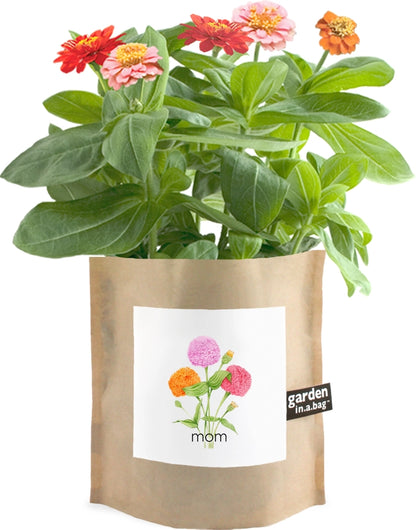 Garden In a Bag- MOM