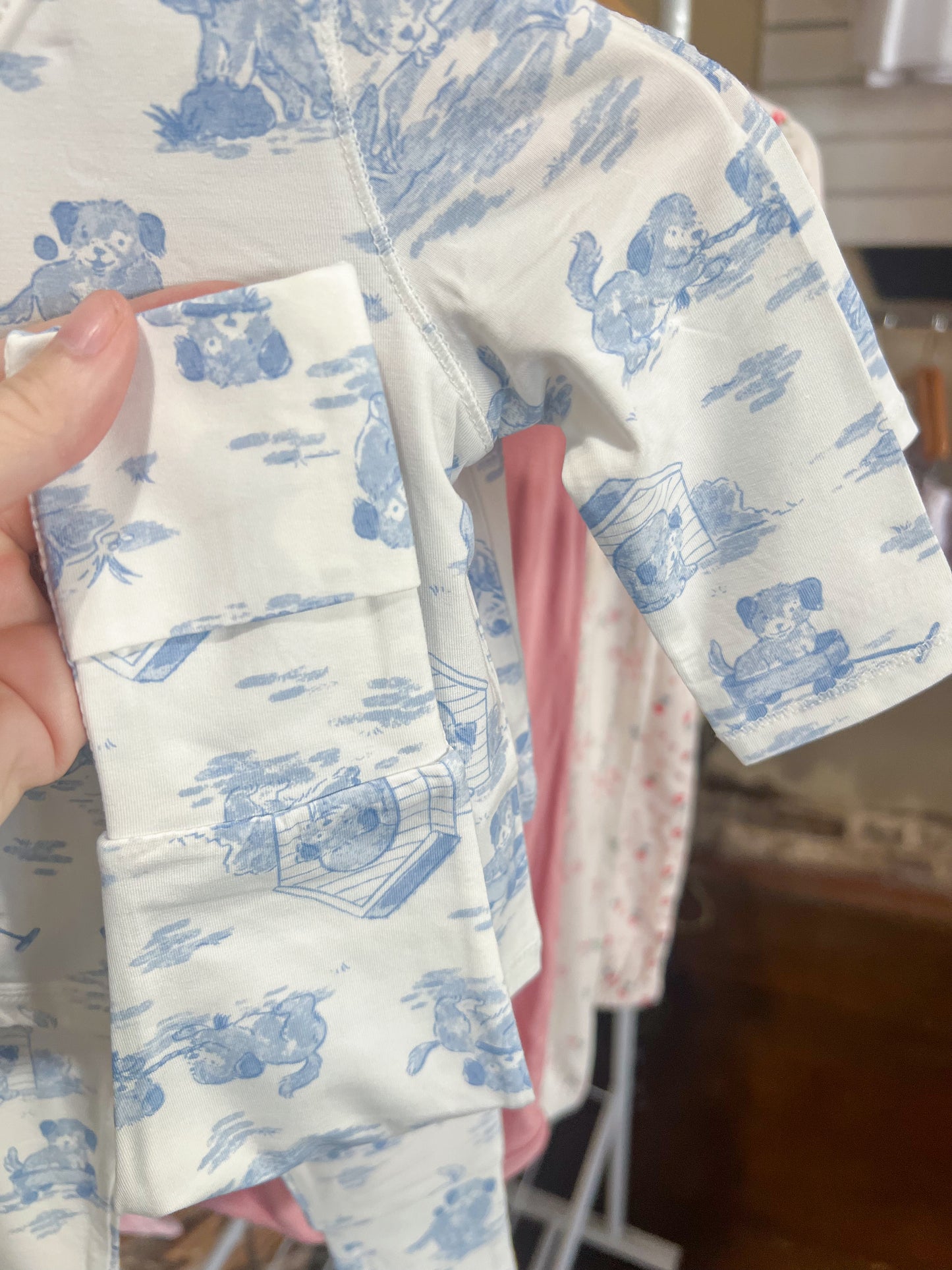 Puppy Toile Take Me Home Set