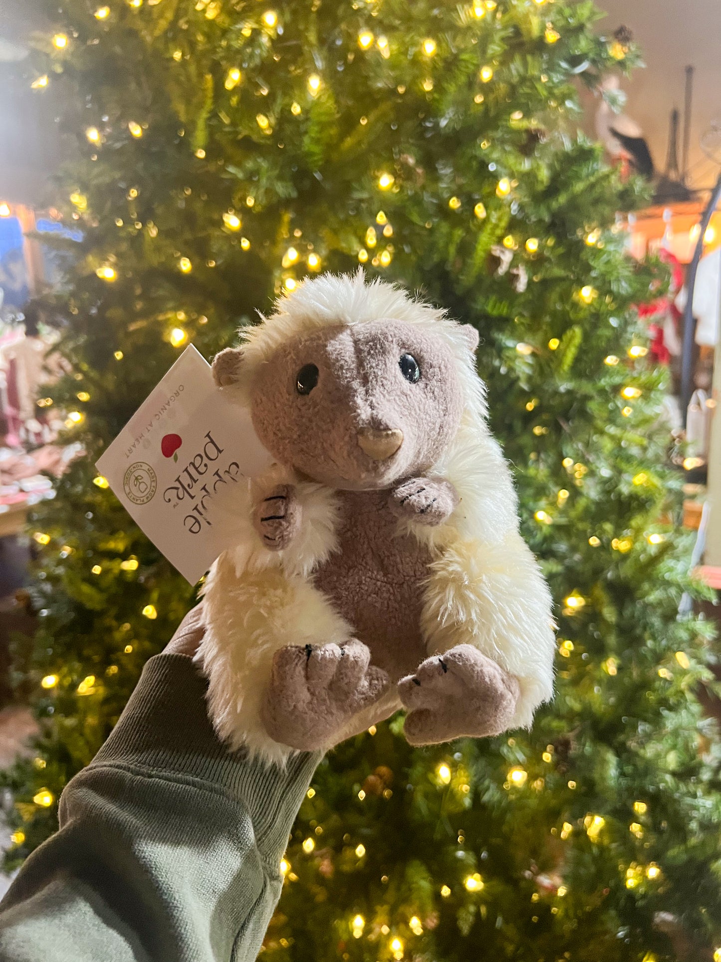 Woodland Pal- Porcupine